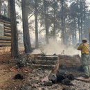 그랜드 캐니언 산불 피해 이미지