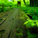 대구침산초등학교 이미지