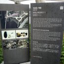 성암동패총 이미지