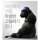 미스터고 이미지