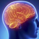 CM Fitness 이미지