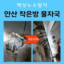 감골1로1L | 안산 사동 감골누수업체, 작은방 물자국의 정확한 원인 찾기