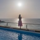 비놀리안 이미지