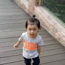 은지예 카카오 검색결과