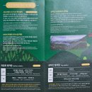 문화카인테리어 | 춘천 &lt;삼악산 호수 케이블카&gt; 의암호와 삼악산의 절경...스테이션 카페&gt;에서 커피 한 잔 당일 여행 후기