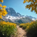 집들이 민박 이미지