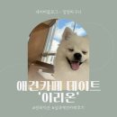 이리온(IRION) 이미지