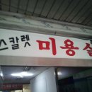 스칼렛미용실 이미지