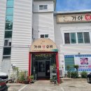 가야생오리 이미지