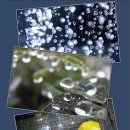 꿈과사랑 이미지