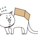 딜카_2