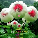 人生은 시냇물처럼 흘러가는 것 이미지