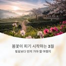 산촌농원 | 봄꽃이 피기 시작하는 3월, 벚꽃보다 먼저 가야 할 여행지