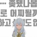 플비 이미지