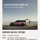 현대자동차함양점 | [취업준비] 현대자동차 N 브랜드 마케팅 서류합격 후기