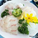 외포터미널 | 강화도 외포리맛집 [외포횟집] 다녀온 후기