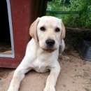 재모농장 이미지