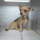 파란종합 동물병원 이미지