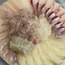 공도포차 | 6시내고향 맛집 ‘60초를 잡아라’에 나온 창원 횟집 공도포차 솔직후기