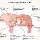 편건축사사무소 네이버블로그