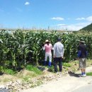 샘재골송이마을 이미지