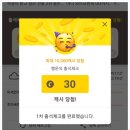 유하픽 이미지