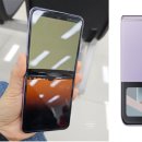 20241081 장다예 1호 기사 (2차 수정) 이미지