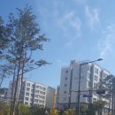 서초대표공인중개사사무소 이미지