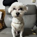 바르개 맛있개 이미지