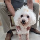 청신약국 이미지