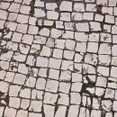 미래창조거리 | 우연의 미래를 필연의 현재로 만드는 법