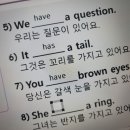 직장인 영어회화 초보 후기, 아이캔톡으로 영어 말하기 시작했어요