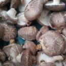 주작축산 이미지