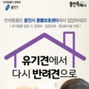 용인시 동물보호센터 이미지