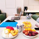 스테이 소야 이미지