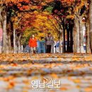 (주)가을 Daum카페