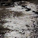 정인모텔 | 사주에 수(水)나 인성이 없으면 도와달라는 말도 못합니다.