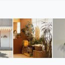 모다페카페 이미지