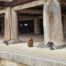 구례병원 | [여행] 구례&amp;하동 2박 3일 여행 후기(2025년)