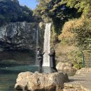 천지연산책로(폭포안) | [제주 서귀포 여행] 3월 제주도 가볼만한곳 천지연폭포