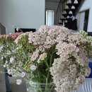 뽑기 좋은날 이미지