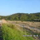 쌍치 금평교 이미지