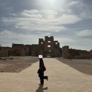 (주)나트리스 | 🇪🇬이집트 문명탐사 Day 8a - 룩소르 Luxor ; 멤논의 거상 Colossi of Memnon, 메디넷 하부 Medinet Habu...