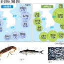 한반도 수산 이미지