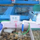서영수산 네이버블로그
