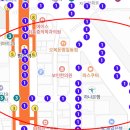자유시장 앞 횡단보도 이미지