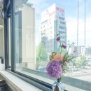 헤어 따스한 | 신촌 염색 고민이라면 신촌미용실 데몬헤어 신촌점 애쉬 매트브라운 후기