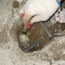 구월3동-4 이미지