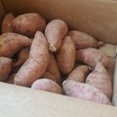 호박마트 이미지