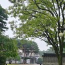 호암미술관 | 용인 호암미술관 아이랑 다녀온 솔직 후기